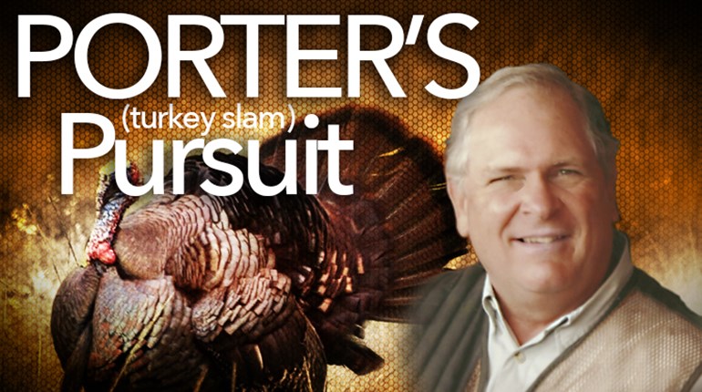 Porter's Pursuit Produces Grand Slam! | An Official Journal Of The NRA