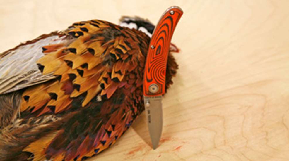 2012113093932-dc_cool_folder_m.jpg