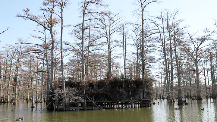 Duck Blind on Beaver Dam Lake, Mississippi