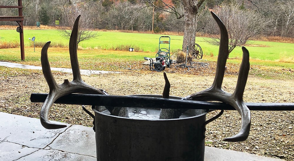 Deer skull placed in boiling water to clean.