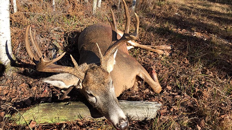 Member's Hunt: One Shot, One Deer | An Official Journal Of The NRA