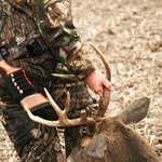 perfectbackstrap_lead.jpg
