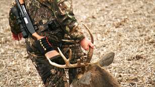 perfectbackstrap_lead.jpg