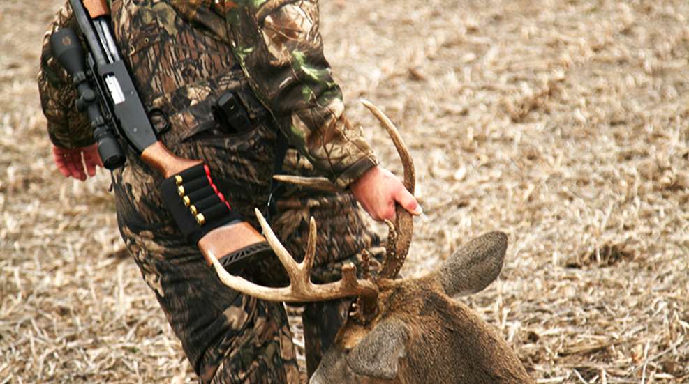 perfectbackstrap_lead.jpg