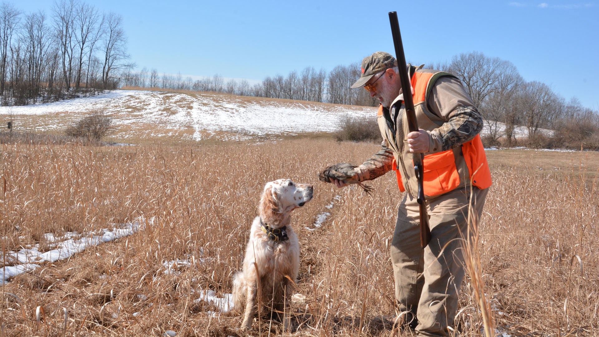 Hunter showing chukar to bird dog