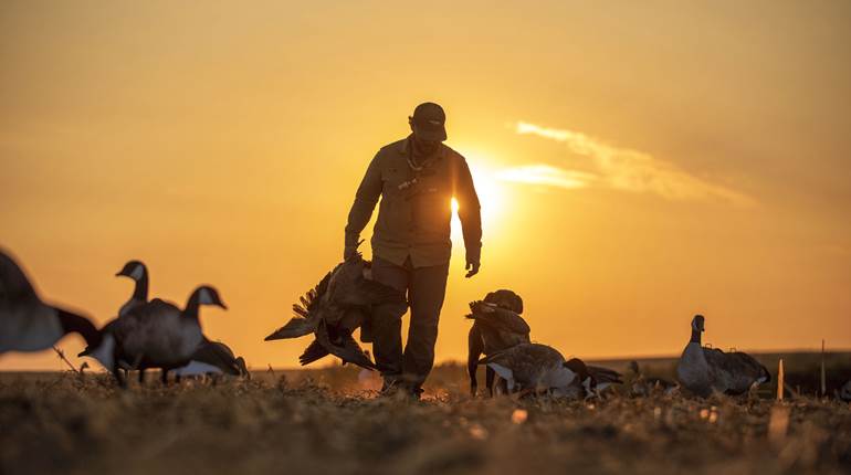 Tips & Tricks for Early Season Canada Geese | An Official Journal Of The NRA