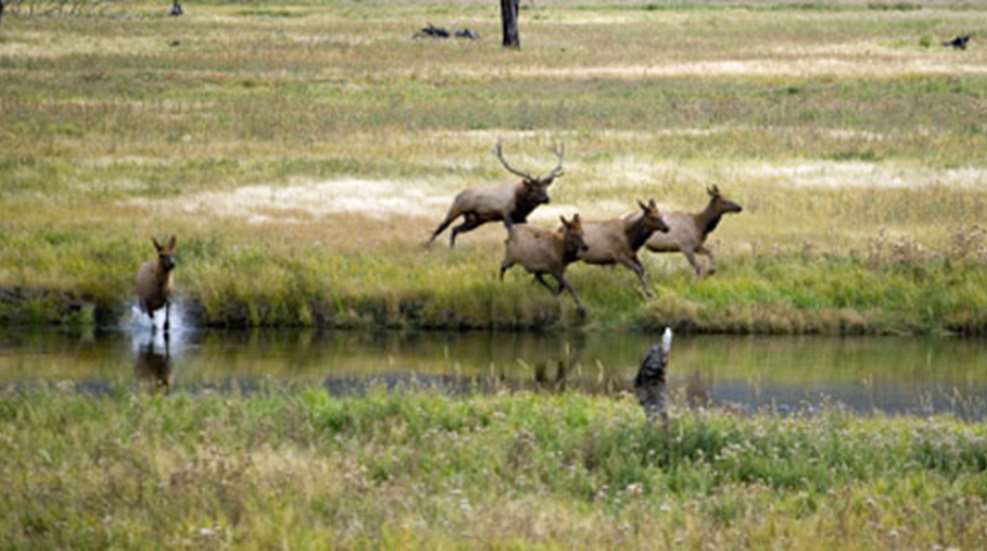201083017650-publicland_f.jpg