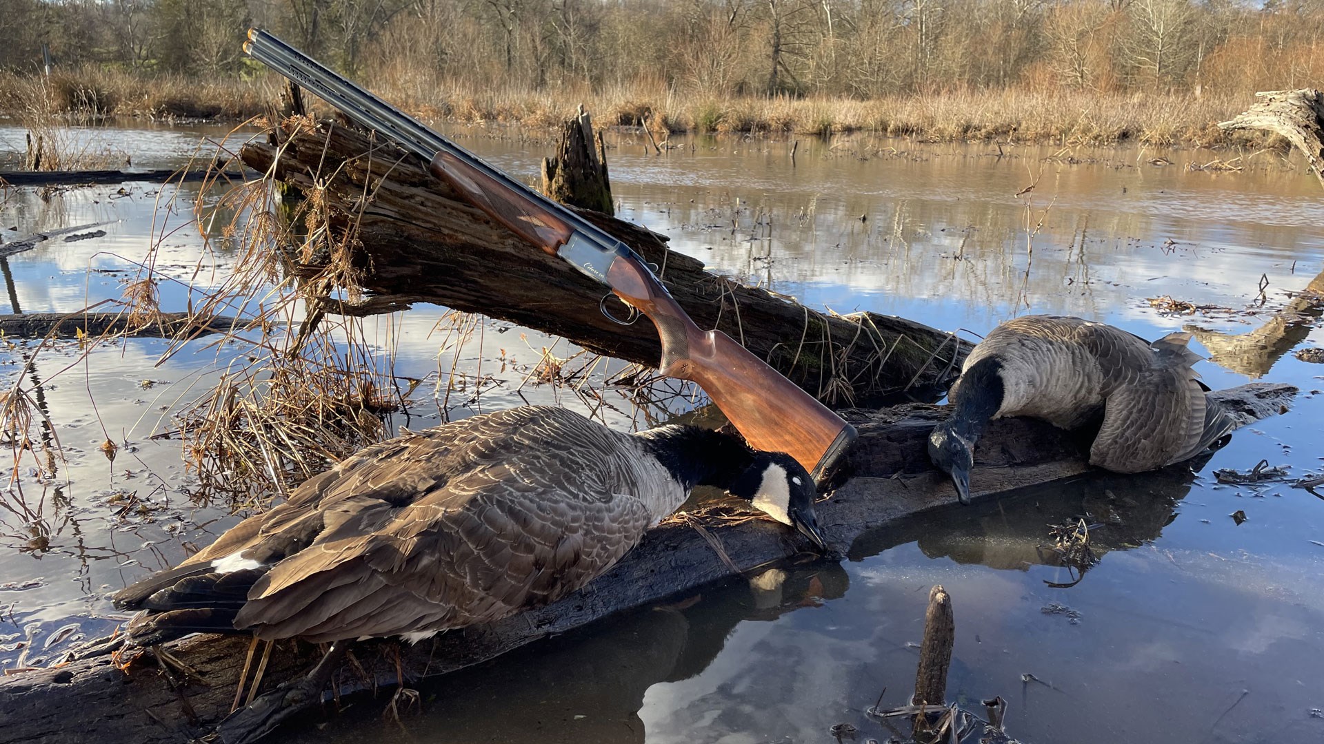 Wood stock with ducks