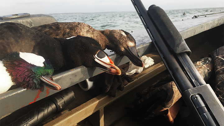 Shotgun in Boat Next to Several Species of Ducks