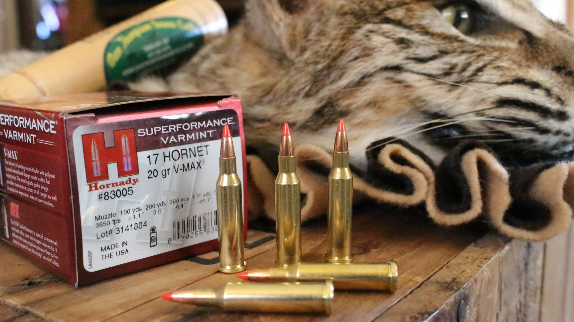 .17 Hornet