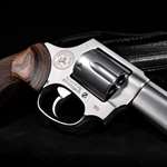 Taurus 856 Executive Grade Revolver Lead
