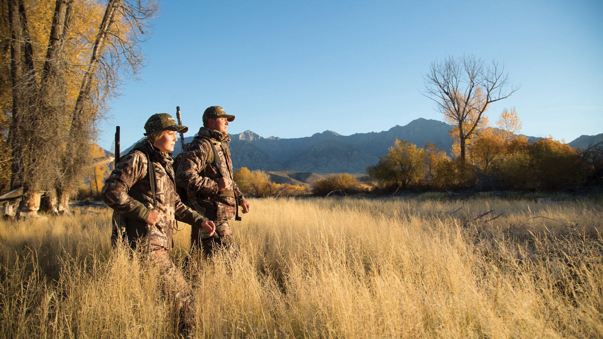 Turkey hunting vista