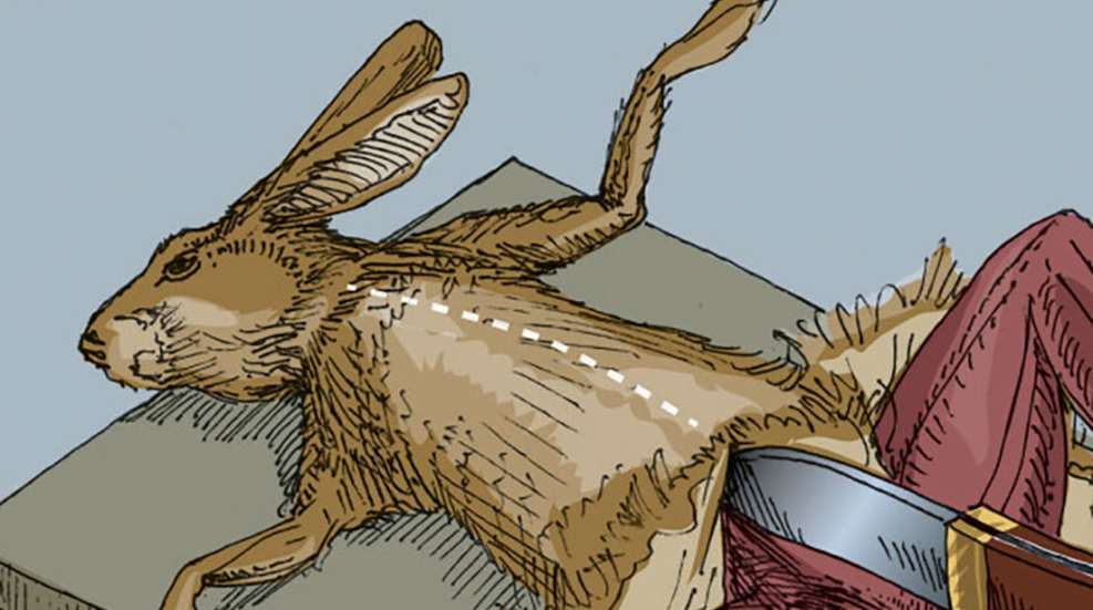 rabbitskinning_lead.jpg
