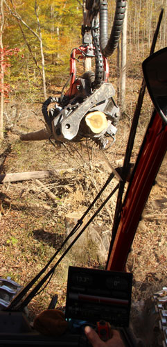 Komatsu harvesting timber