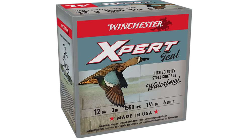 Lede Xpert Teal