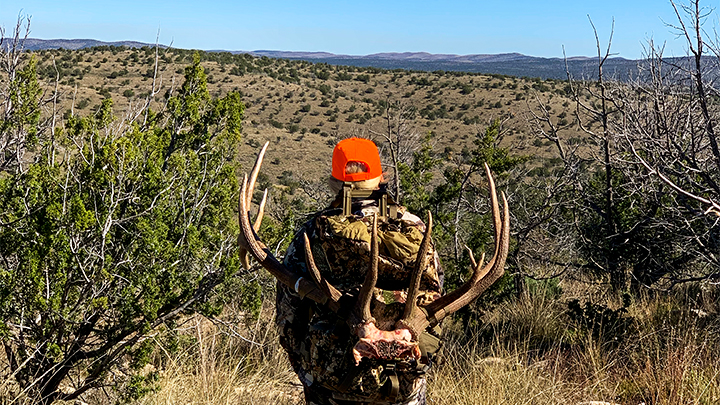 Female hunter Rose Bier packing out elk meat and horns