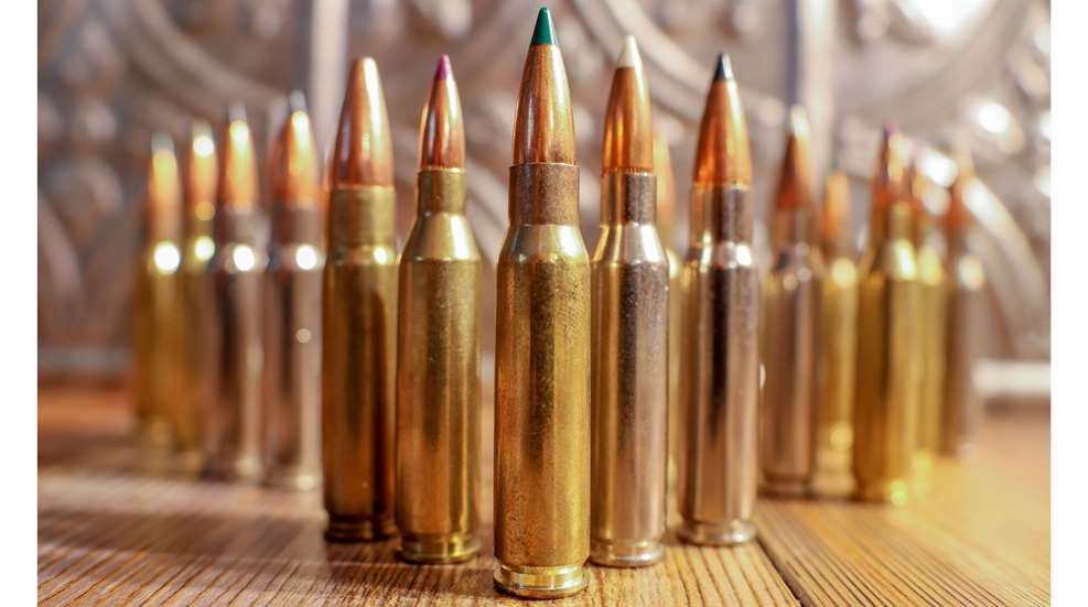 Ammo Family Lead Photo