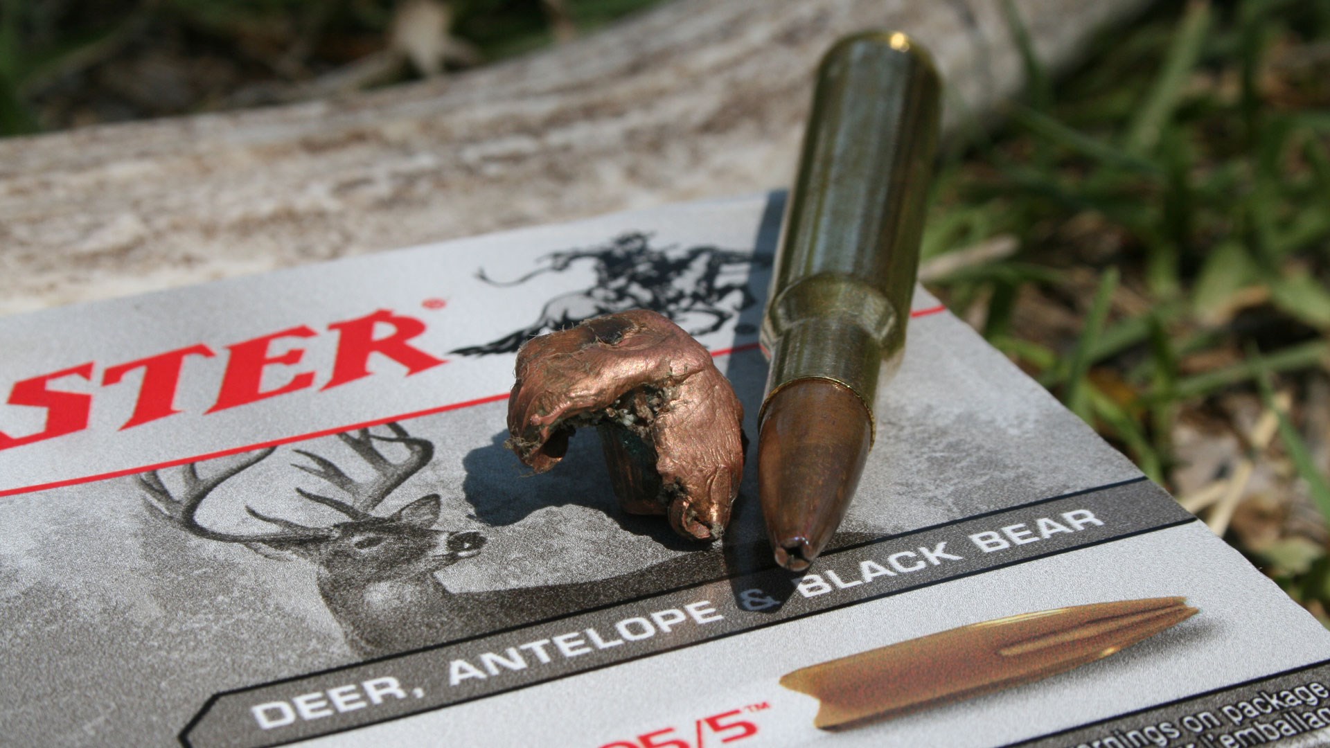 Winchester ammo