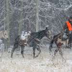 How To Hunt Safely Into Old Age Lead