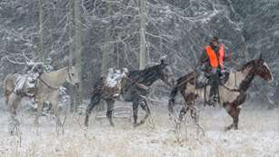 How To Hunt Safely Into Old Age Lead