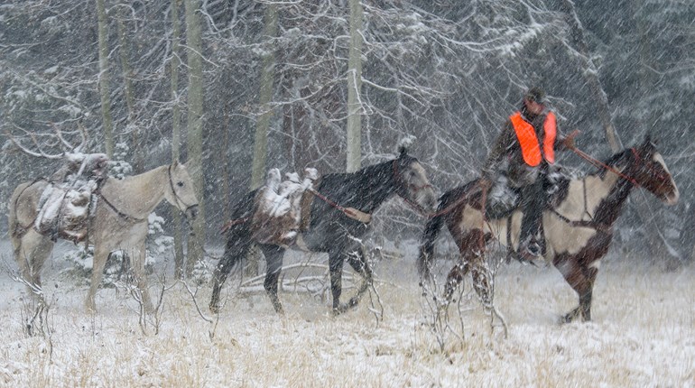 How to Hunt Safely Into Old Age | An Official Journal Of The NRA