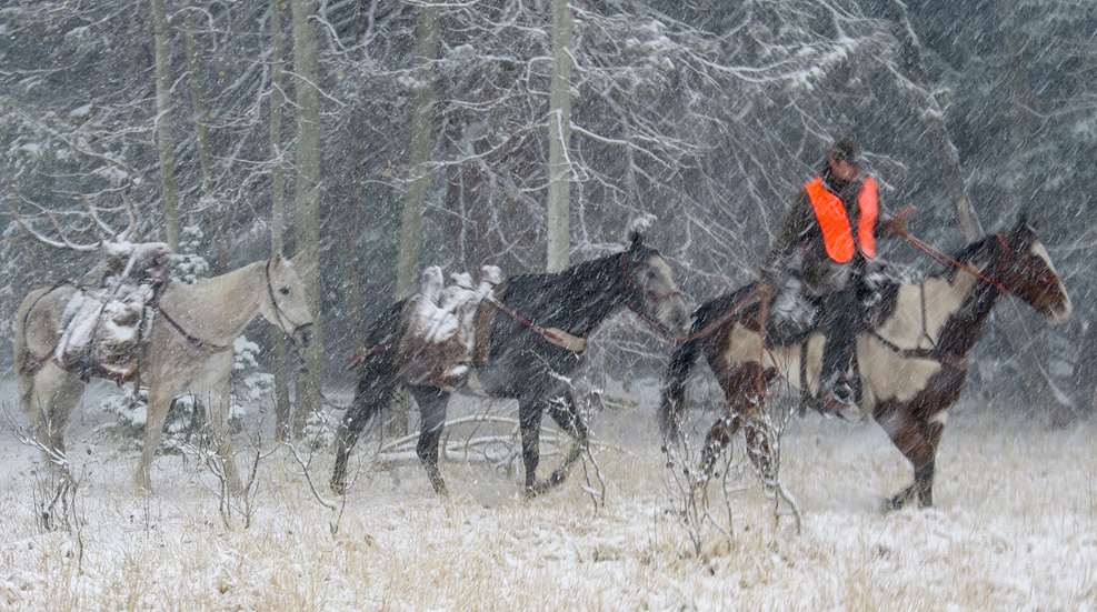 How To Hunt Safely Into Old Age Lead