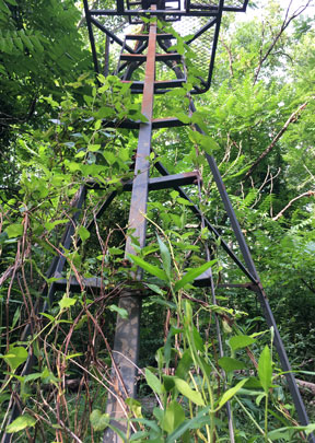 Overgrown Treestand