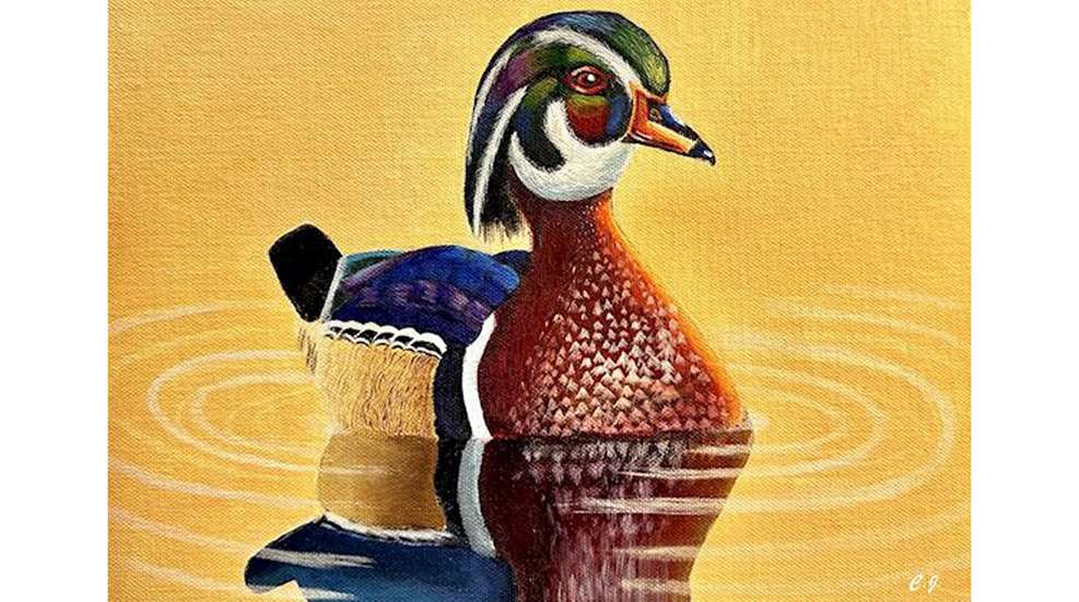 2023'S Best In Show Youth Wildlife Art Contest NRA