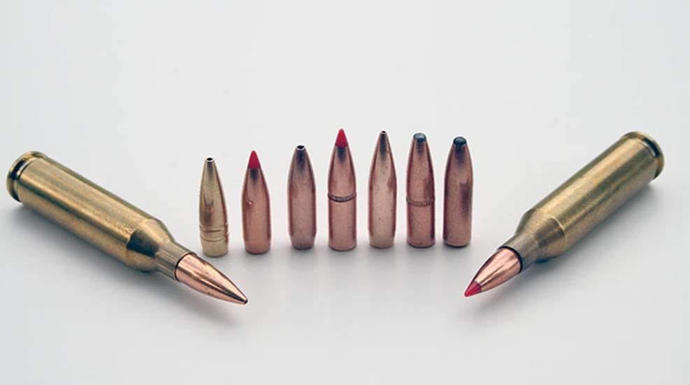 7 Top-Tier Hunting Bullets for the .243 Win. | An Official Journal Of ...