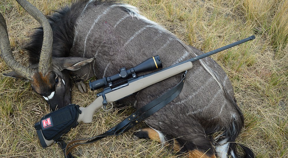 Mossberg Patriot Predator bolt action rifle resting on nyala bull in South Africa.