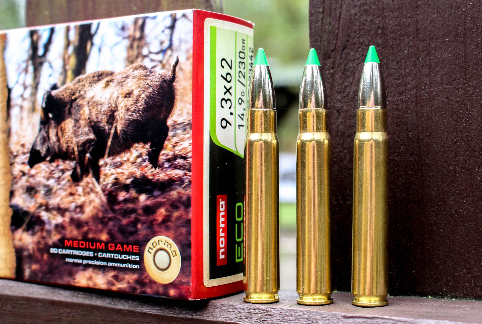 9.3x62 mm