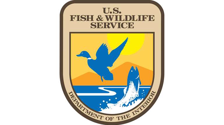 Ledeservice Awards More Than