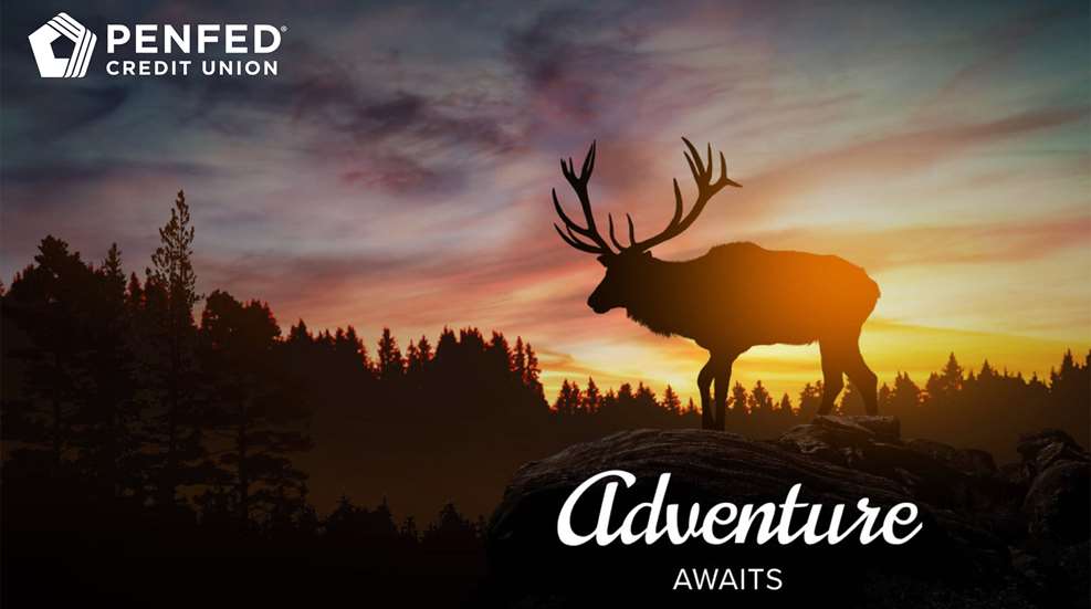 Penfed Trophy Elk Hunt Lead