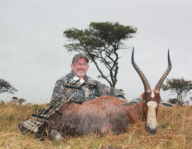 Blesbok