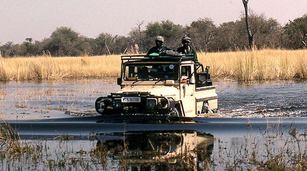 standed_swamps_f.jpg