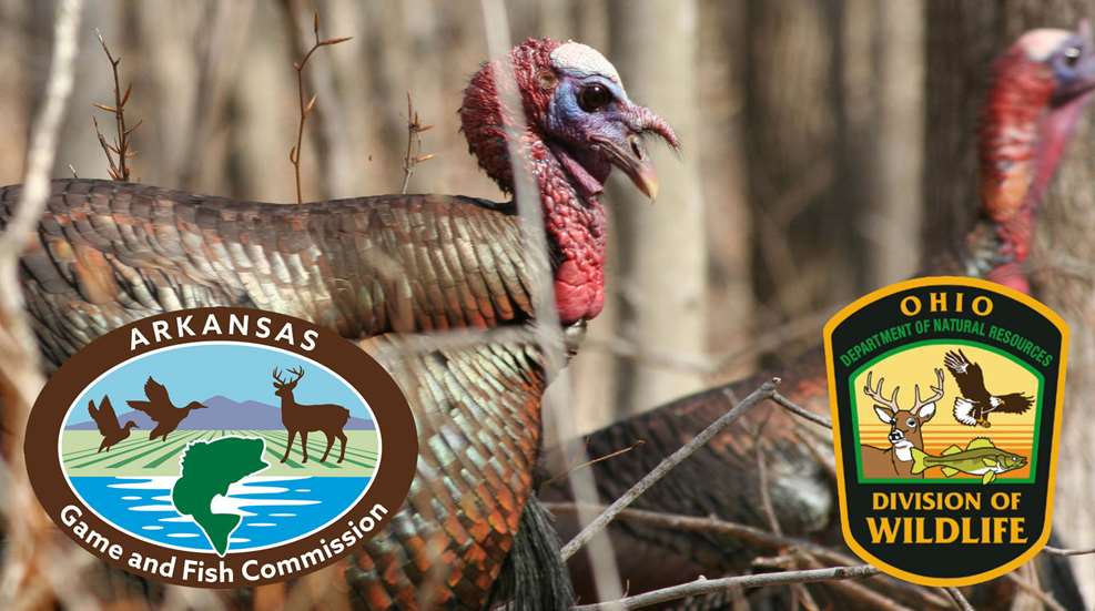 LEDE Young Turkey Hunters 1