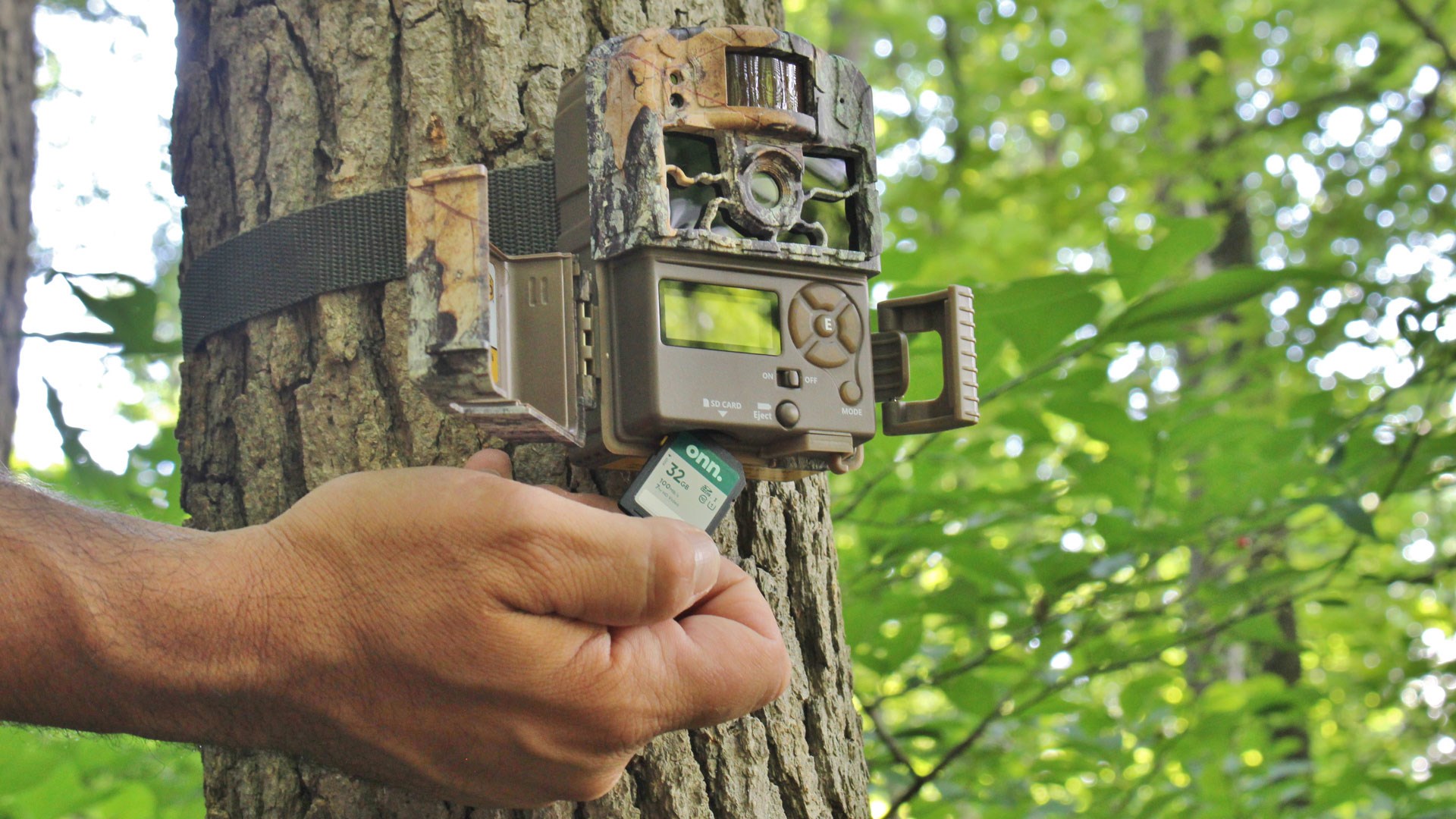 Trail Camera setup