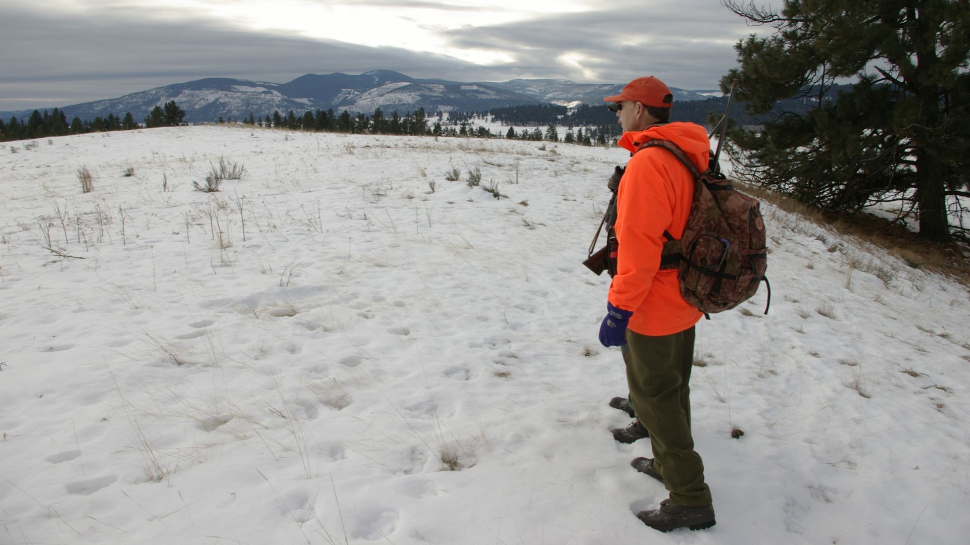 Hunter surveying tracks on ridgeline