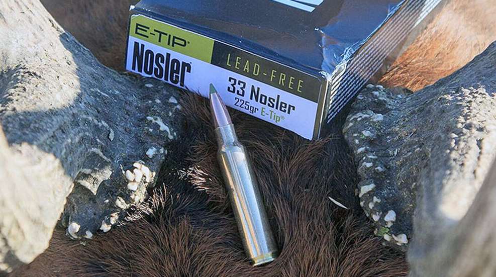 33_nosler_f.jpg (1)