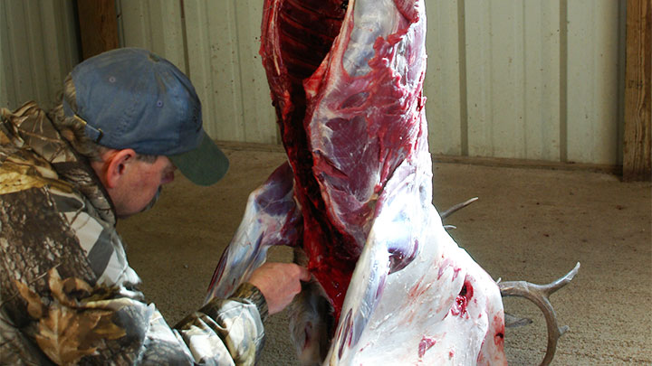 Free the skin on the front legs of the deer by pulling and cutting