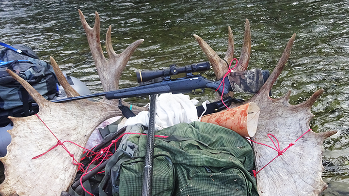 Rifle on Moose Antlers while traveling across a stream in boat