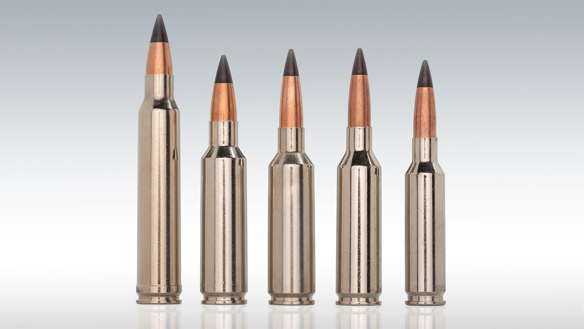 Shown left to right: 195-grain 300 Win. Mag., .300 WSM; 175-grain 6.8 Western; 140-grain 6.5 PRC, 6.5 Creedmoor.