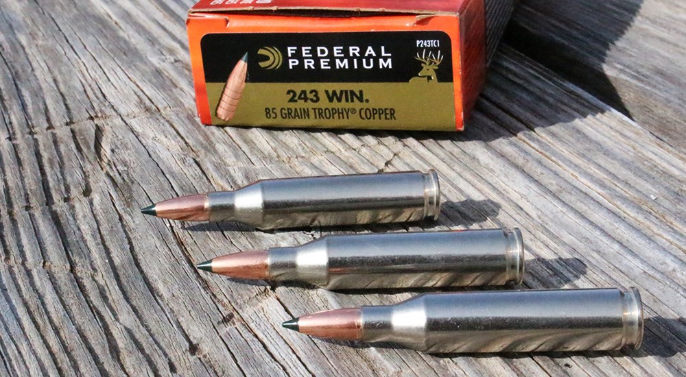 Federal Premium 85-grain Trophy Copper .243 Winchester ammunition.