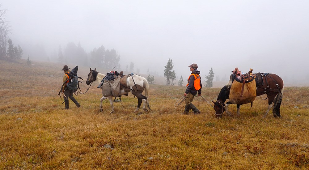 Male hunters guiding horses across plains field.