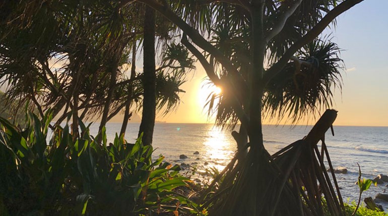 Tips and Tactics for DIY Hunting and Fishing in Hawaii | An Official Journal Of The NRA