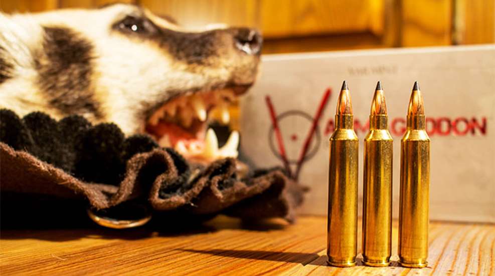 btb-204-ruger_lead.jpg