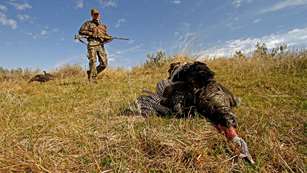 Turkey Population Declines Make Hunters Accept Change Lead