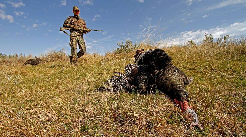 Turkey Population Declines Make Hunters Accept Change Lead