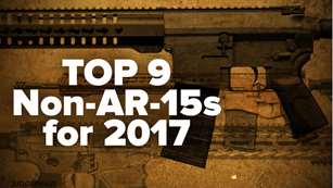 top9nonar15s.jpg