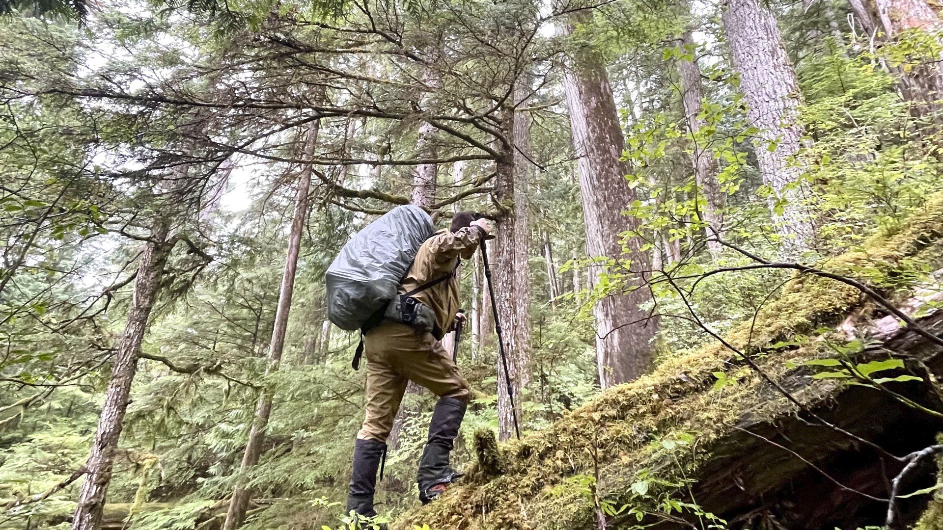 Hunter hiking up log